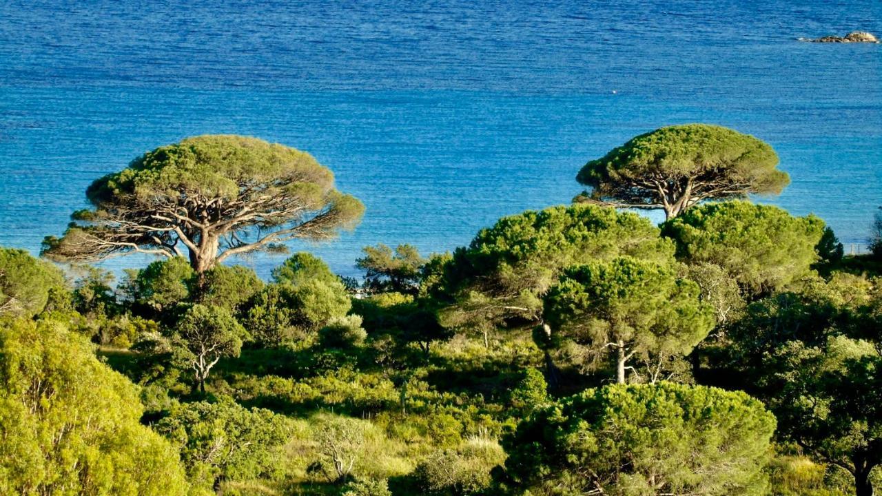 Village de vacances Résidence Belvedere De Palombaggia Porto-Vecchio (Corsica)