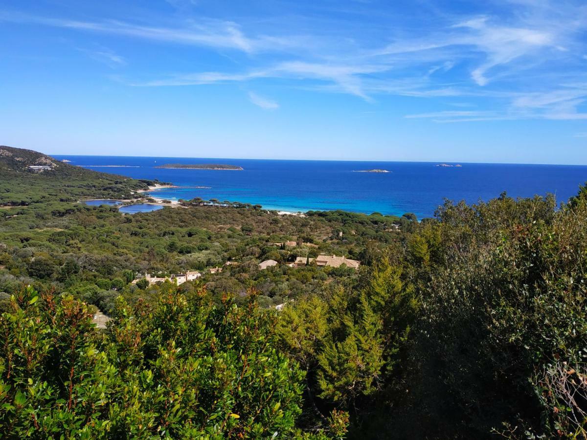 Résidence Belvedere De Palombaggia 4*